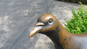 Bronze of MArtha - the last Passenger Pigeon on earth (died 1 September 1914)
