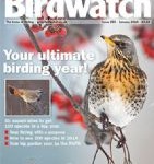 BirdwatchJanuary2014_132136