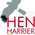 Hen-Harrier-Day-300px