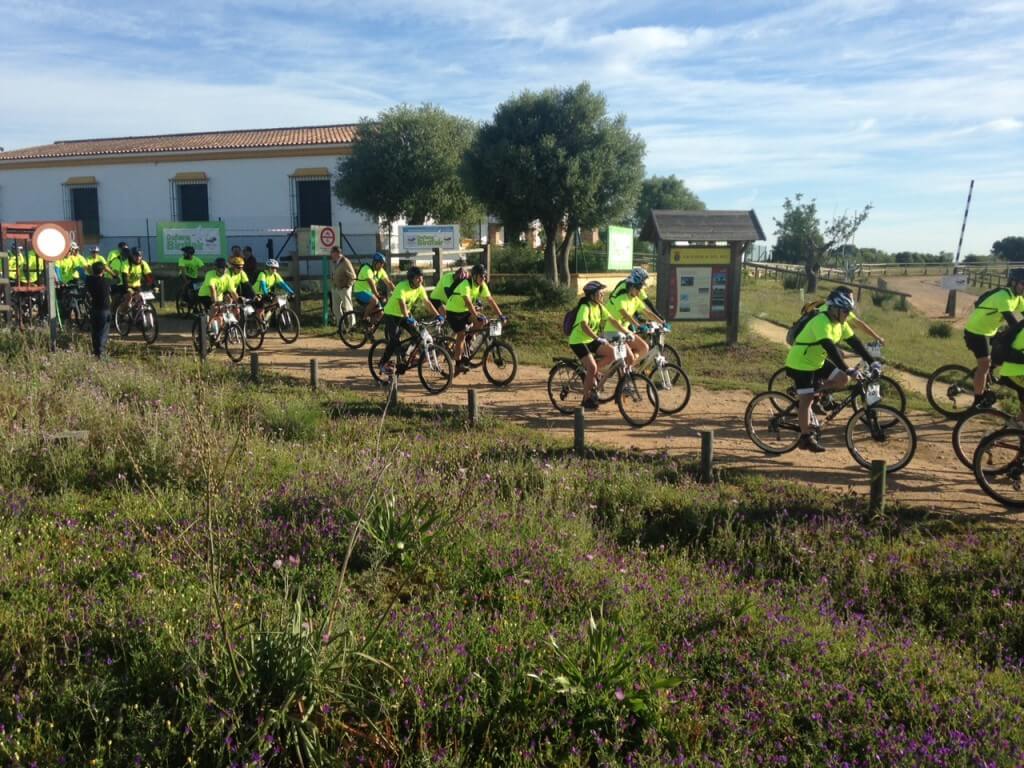200 cyclists set off for a road around the Andalucian countryside