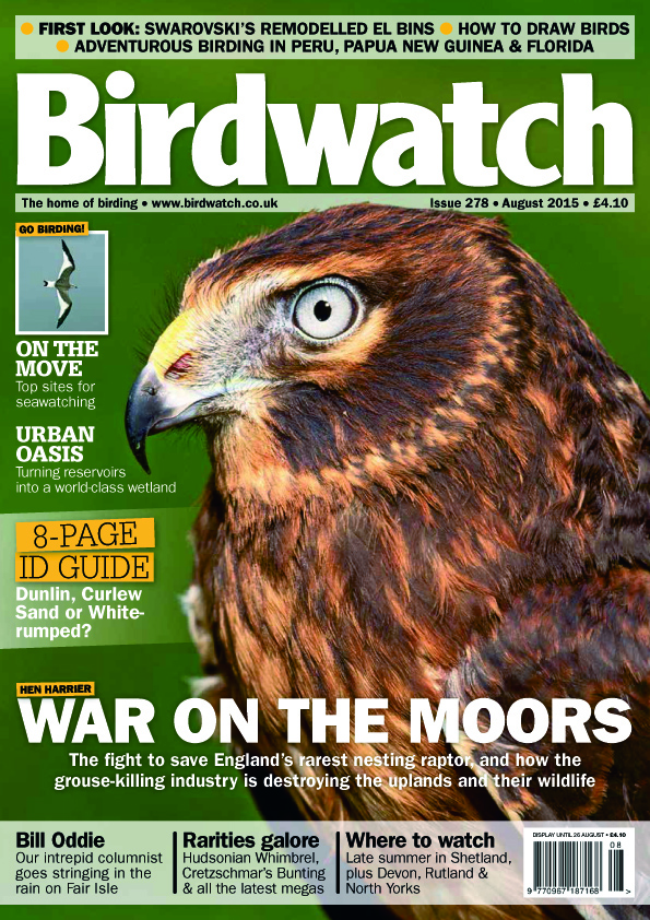 Birdwatch August 2015 cover