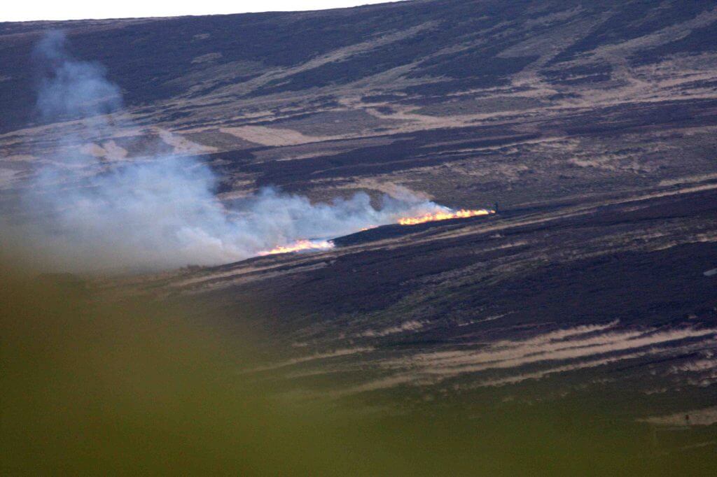 North East to old dike hill,_burning_lores_16Feb16