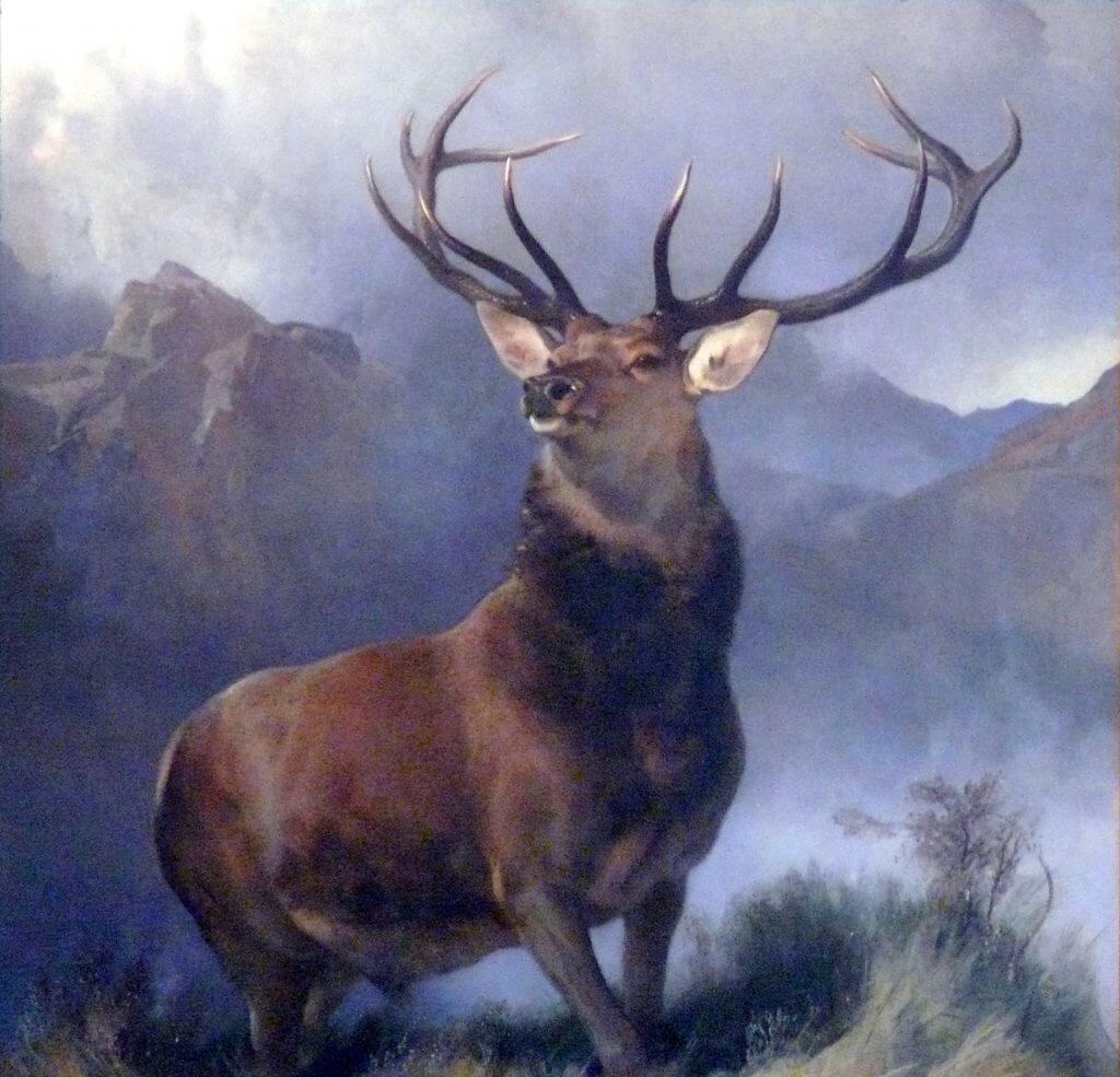 the-monarch-of-the-glen