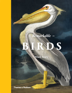remarkable-birds