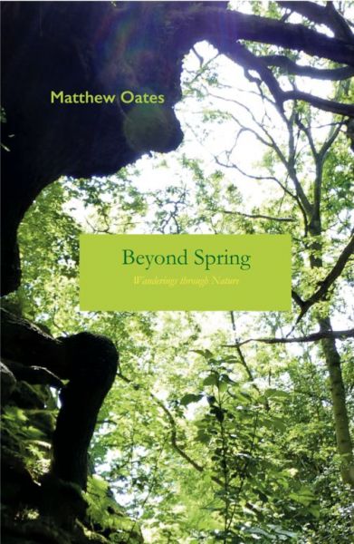 beyond spring компания википедия