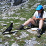 Guest blog – Volunteers in the conservation sector (2) by Louise Bacon