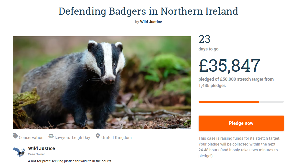 Wild Justice Badger challenge in Northern Ireland Mark Avery