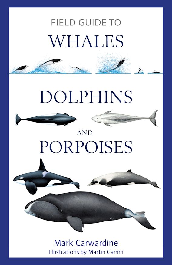 Sunday book review – Field Guide to Whales, Dolphins and Porpoises by Mark Carwardine
