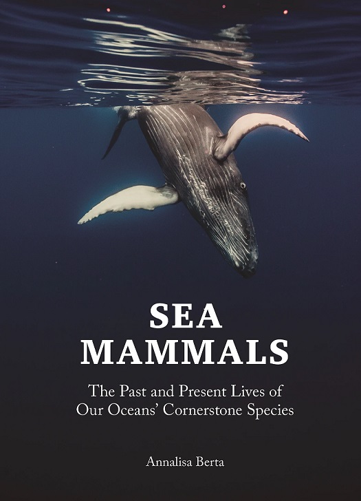 Sunday book review – Sea Mammals by Annalisa Berta